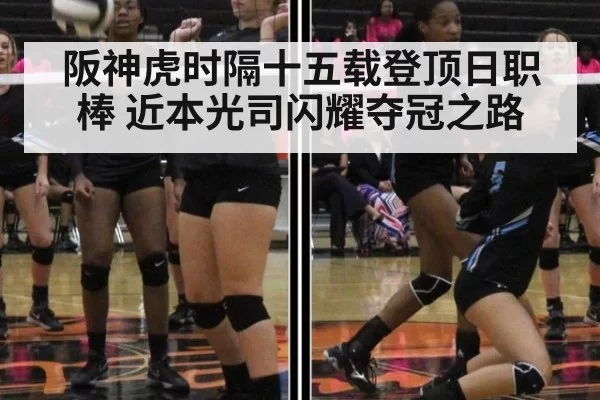 阪神虎时隔十五载登顶日职棒 近本光司闪耀夺冠之路