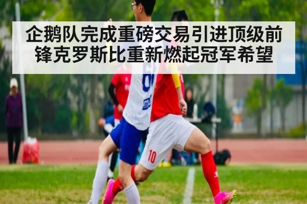 企鹅队完成重磅交易引进顶级前锋克罗斯比重新燃起冠军希望（hth.com）