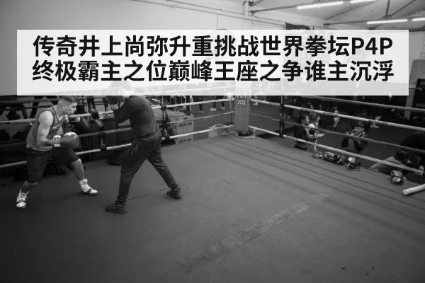 boxer training gym